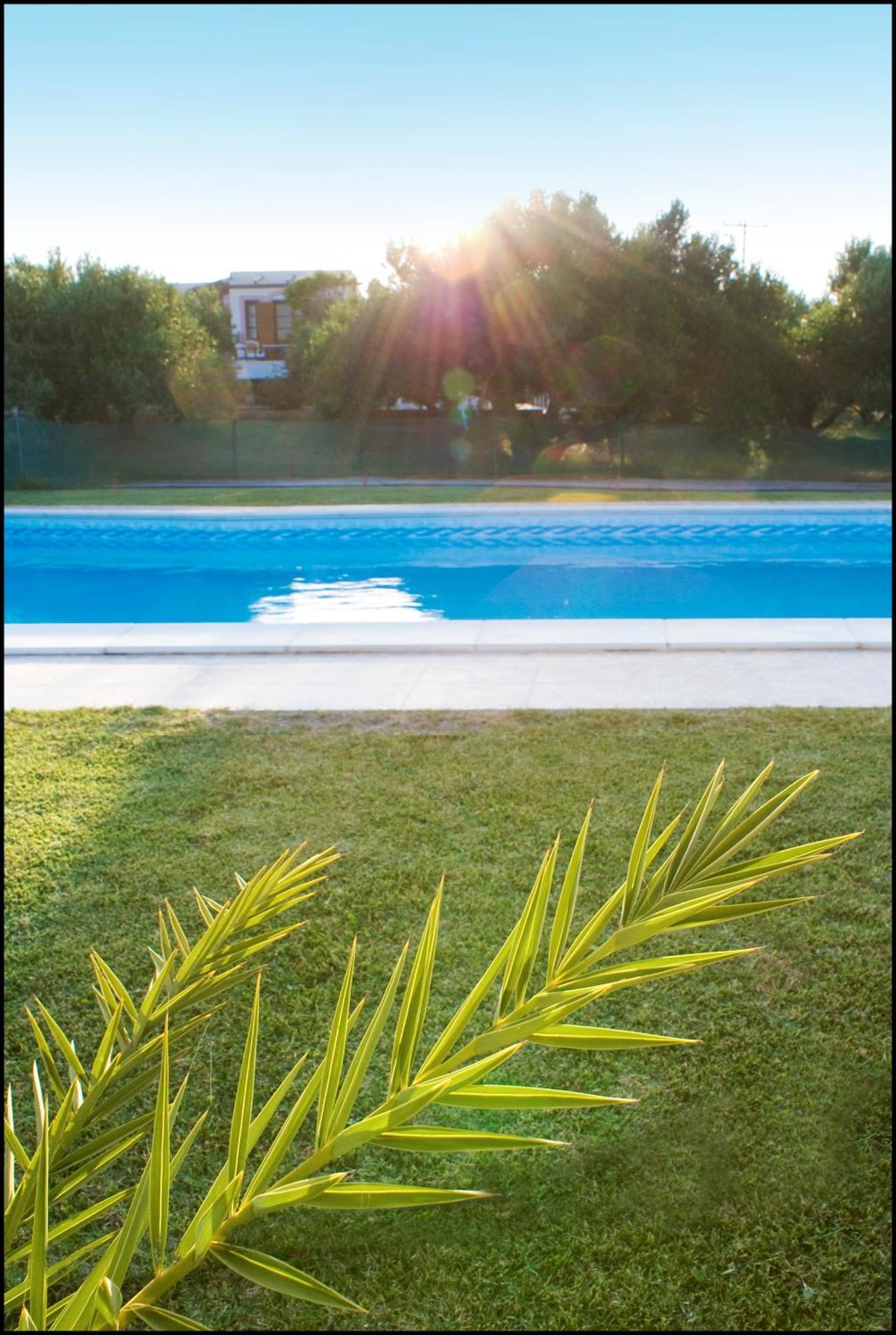 Casa Di Mare Apartment ปาเลกาสตรอน ภายนอก รูปภาพ